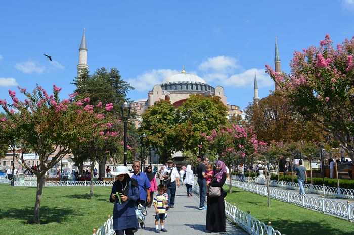 image-.jpg