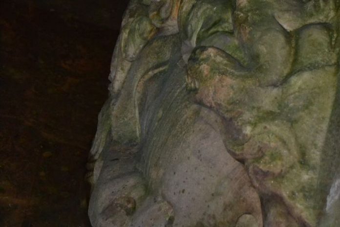 image-.jpg